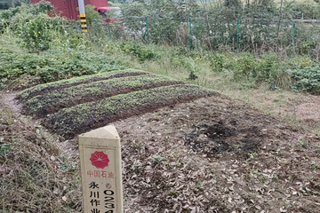 重庆永川某集气站项目